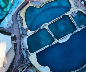 Replay La magie disparue des zoos marins ? - Le dessous des images
