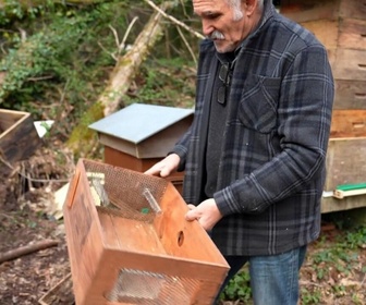 Replay Élément Terre - Un apiculteur invente un piège à frelons asiatiques unique au monde