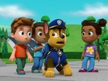 Replay Paw Patrol, la Pat'Patrouille - La fête de la grande vallée