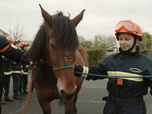 Replay À l'école des pompiers - 28/10/2025