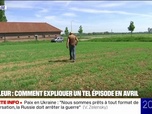 Replay 20H BFM - Sécheresse, sols arides... avec l'épisode de chaleur, les agriculteurs craignent pour leurs cultures