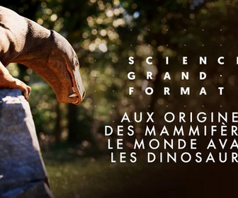 Replay Science grand format - 20/01/2026