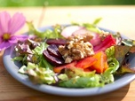 Replay La Thuringe, Allemagne - Cuisines des terroirs