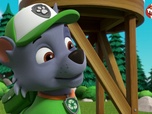 Replay Paw Patrol, la Pat'Patrouille - Liberty à la rescousse