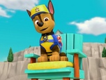 Replay Paw Patrol, la Pat'Patrouille - La Pat' Patrouille des Mers sauve l'épave d'un bateau