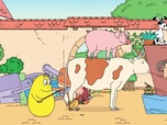 Replay Barbapapa en Famille - Un portrait au poil