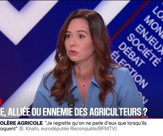 Replay BFM Politique - Mercosur: L'élevage français peut mourir en France, estime Sarah Knafo, eurodéputée Reconquête