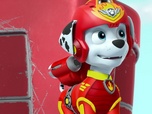 Replay Paw Patrol, la Pat'Patrouille - Les ours polaires