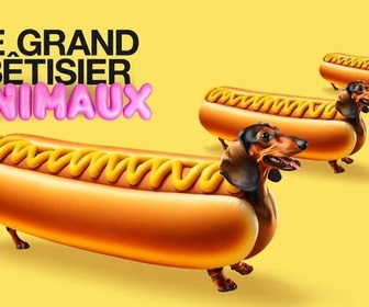 Replay Le grand bêtisier des animaux - Émission 2