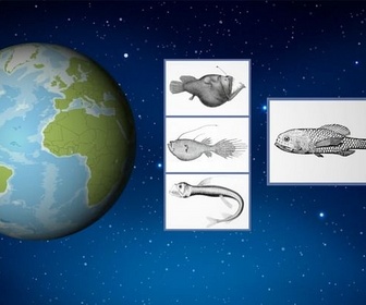 Replay ARTE JUNIOR Le magazine - Pourquoi en savons-nous plus sur l'espace que sur les grands fonds marins ?