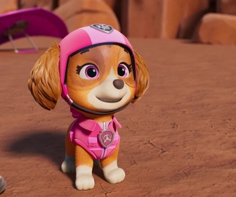 Replay Paw Patrol, la Pat'Patrouille - Sur la route avec Stella : Un concert dans le désert
