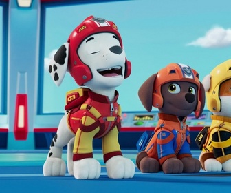 Replay Paw Patrol, la Pat'Patrouille - La Pat' Patrouille des Airs : Une cascade trop extrême