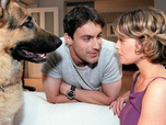 Replay Rex, chien flic - 21/08/2026