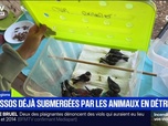 Replay BFM Première prématinale - Focus Régions - 03/07