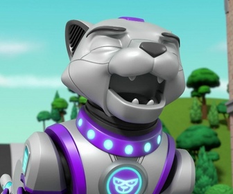 Replay Paw Patrol, la Pat'Patrouille - La Pat' Patrouille rencontre les Super Chats