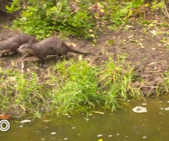 Replay Une saison au zoo - S12 E50