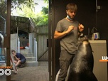 Replay Une saison au zoo - S12 E15