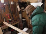 Replay Seuls face à l'Alaska - S6E9 - Droit de naissance
