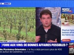 Replay Peut-on faire de bonnes affaires dans les foires aux vins? BFMTV répond à vos questions