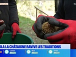 Replay Les longs formats des Locales - À Isola, la châtaigne ravive les traditions