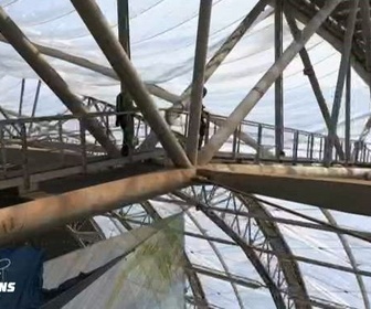 Replay Les parcs d'attractions préférés des Français - Parcs aquatiques : plongée au royaume de la démesure