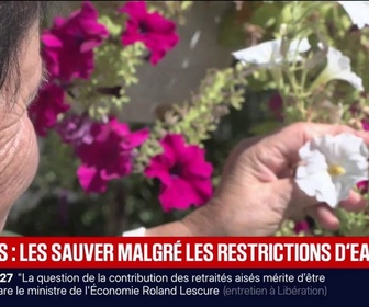 Replay BFM Première - Sécheresse: l'entretien des plantes se complique avec les restrictions d'eau