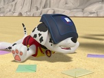 Replay Paw Patrol, la Pat'Patrouille - La Pat'Patrouille des Mers : Volcan en éruption !
