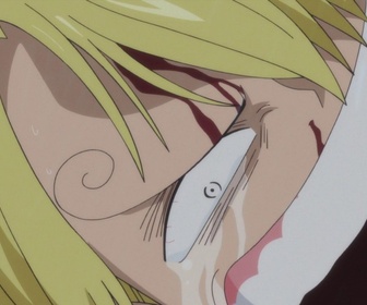 Replay One piece - S19 E19 - La vie de mon bienfaiteur. Sanji et zeff le chef !