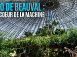 Replay Zooparc de Beauval : au coeur de la machine