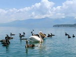 Replay Grèce - La beauté sauvage des Balkans