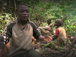 Replay ARTE Reportage - Cameroun : la terreur verte (2018)