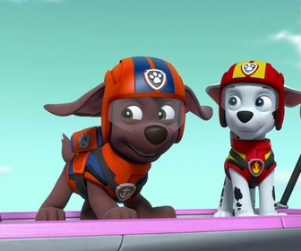 Replay Paw Patrol, la Pat'Patrouille - Sauvetage extrême : Une mission en montagne