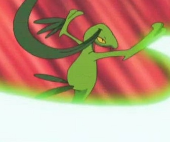 Replay Pokémon - Un Brouhabam plutôt bruyant