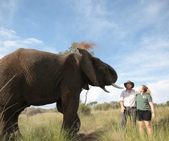 Replay SOS Afrique sauvage - Eléphant blessé, phacochères et pangolins