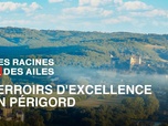 Replay Des Racines et Des Ailes - Passion patrimoine : terroirs d'excellence en Périgord