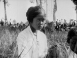 Replay Babu, lettre d'une nounou à l'empire colonial
