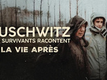 Replay Auschwitz, des survivants racontent - 25/01/2026