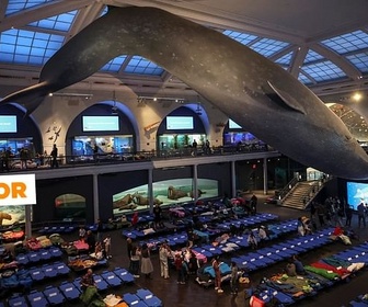 Replay Soirée pyjama au beau milieu des dinosaures - ARTE Journal Junior de mardi