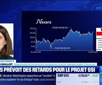 Replay BFM Bourse - Nexans chute, report d'un projet majeur en Méditerranée - 06/01