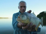 Replay River monsters - S3E3 - L'horreur à sang froid