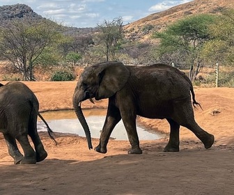 Replay Kenya, gardiennes des éléphants