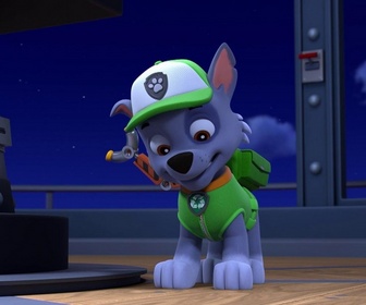 Replay Paw Patrol, la Pat'Patrouille - La soirée cinéma