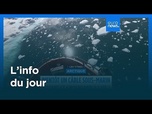 Replay L'info du jour | 20 octobre 2026 - Mi-journée