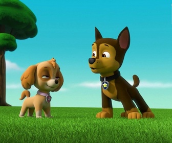 Replay Paw Patrol, la Pat'Patrouille - S00 E21 - Compilation Pat'Patrouille : Super Patrouille