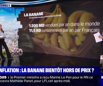 Replay La banane sera-t-elle bientôt hors de prix? BFMTV répond à vos questions