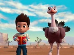 Replay Paw Patrol, la Pat'Patrouille - Les bébés autruches