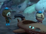 Replay Les Octonauts et l'opération Coopération