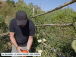 Replay Un jour, un doc week-end - La Balagne, le jardin secret des Corses