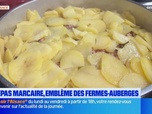 Replay Les longs formats des Locales - Le repas marcaire, spécialité des fermes-auberges du massif des Vosges