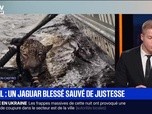Replay BFM Première prématinale - Le break du 10 octobre